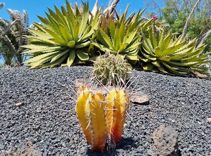 Casa Ina In El Roque, El Cotillo Lägenhet