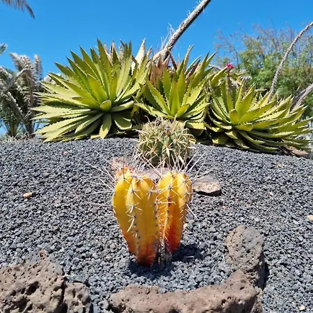 Casa Ina In El Roque, El Cotillo Lejlighed